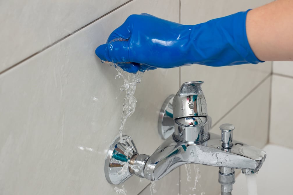 Plumbing fixtures cleaning process from limescale